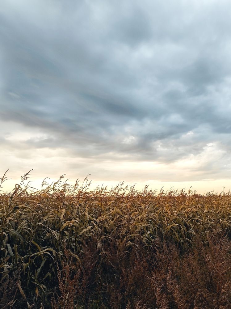 Photograph by Вячеслав Щёголев