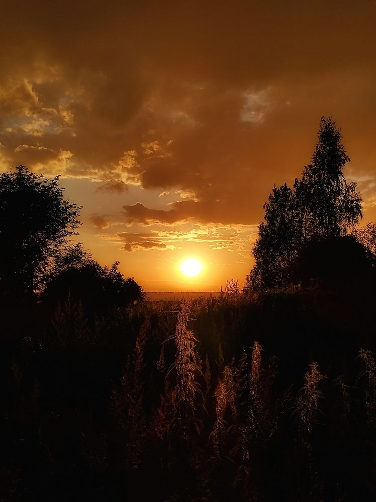 Photograph by Вячеслав Щёголев