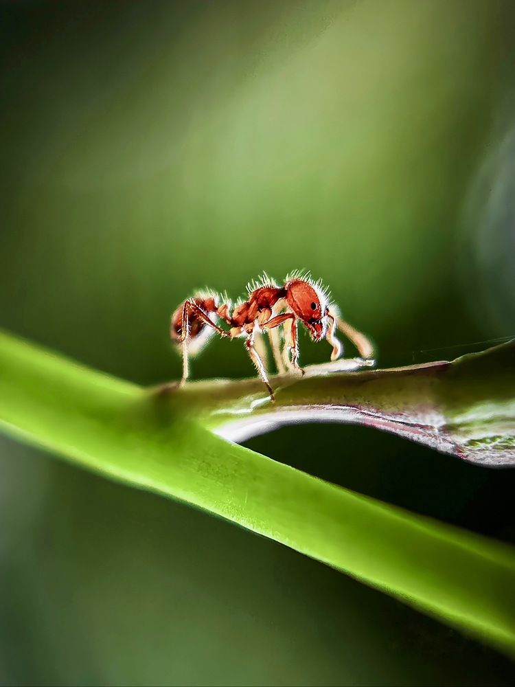 Photograph by Aaron R S