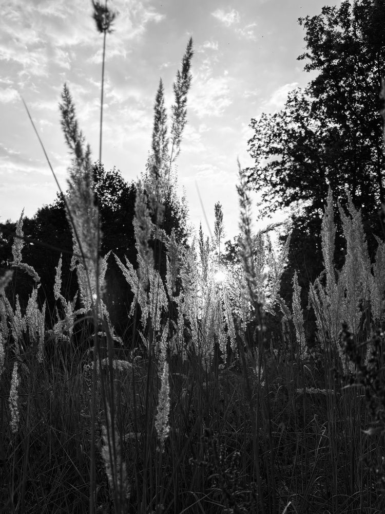 Photograph by Александра Зайниева