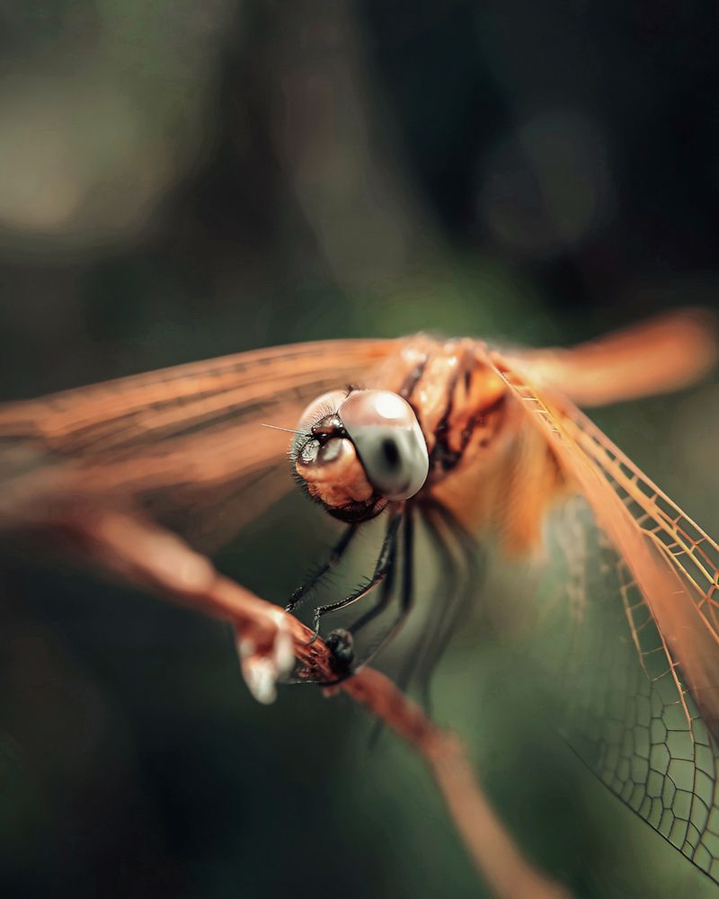 Photograph by Aaron R S