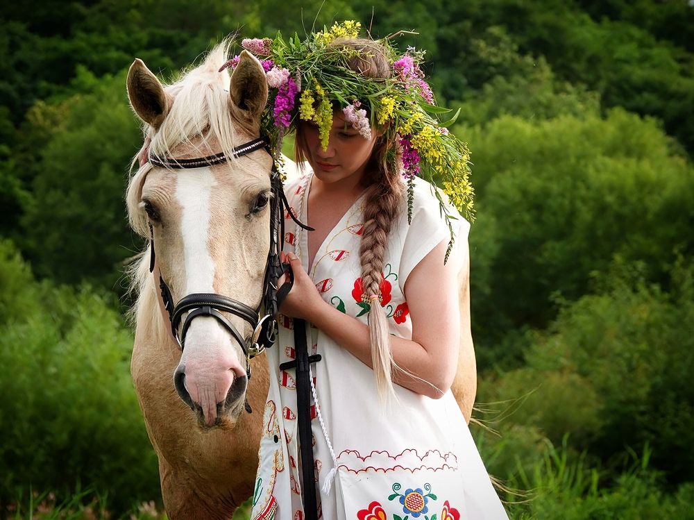 Верные друзья!