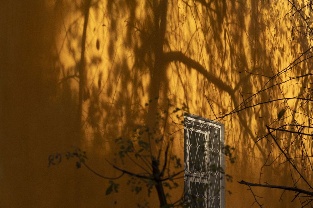Photograph by Юлия Прончакова-Мойкина