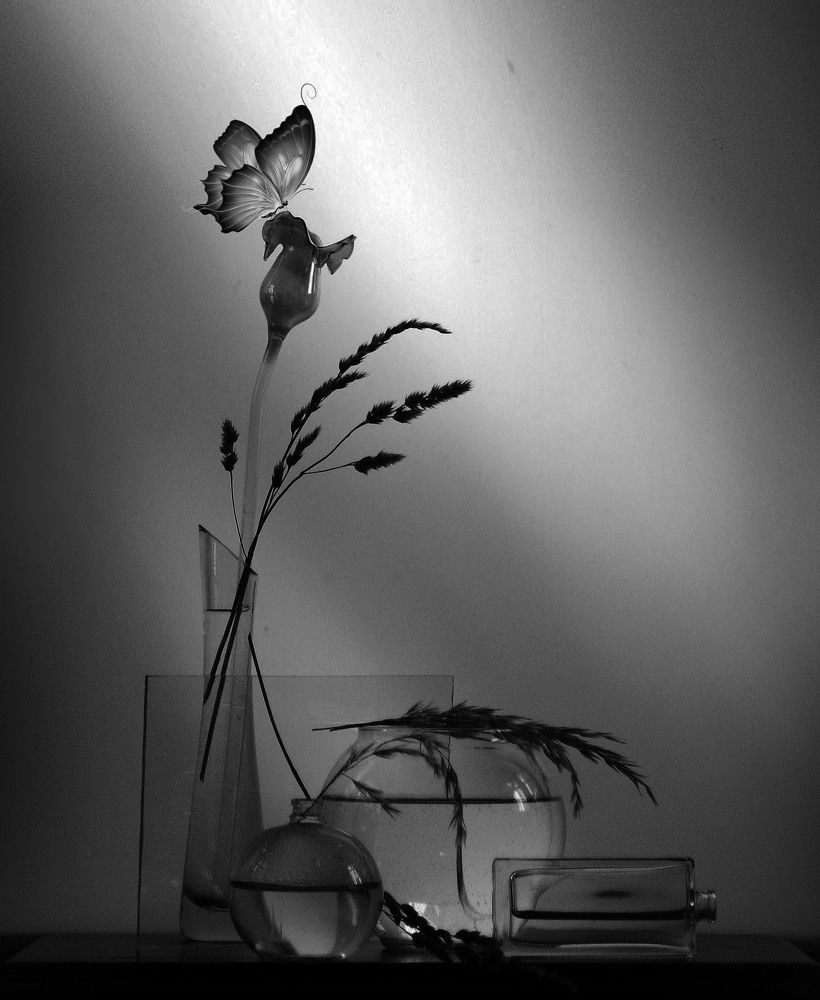 Photograph by Александр Зарх