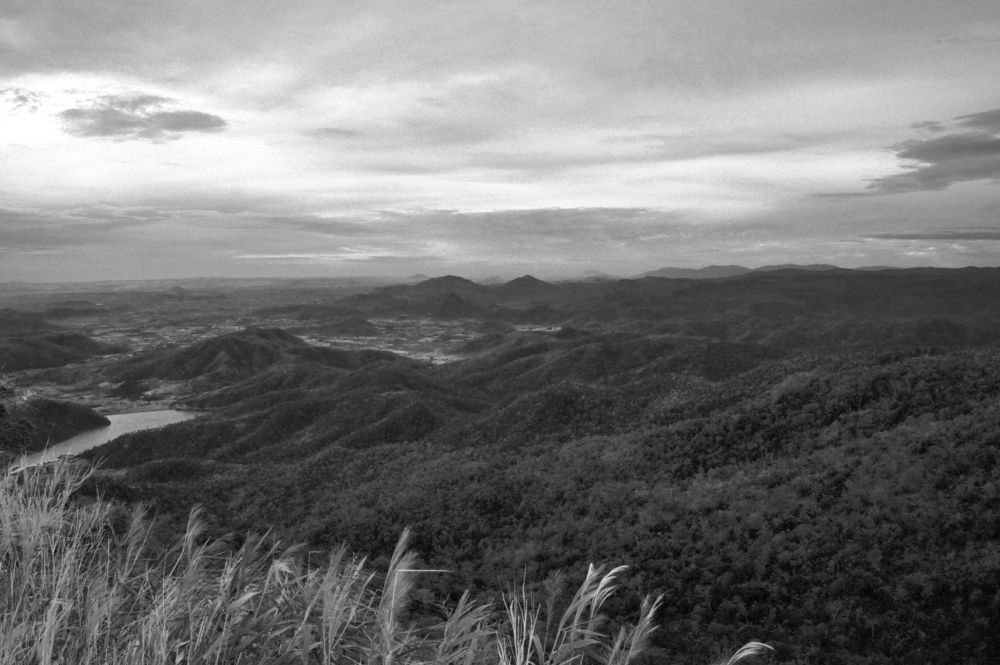 Photograph by Светлана Стрельцова