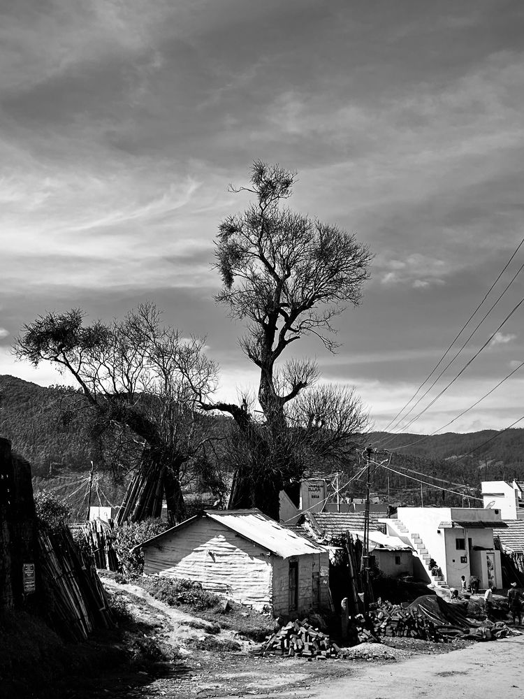 Photograph by Aaron R S