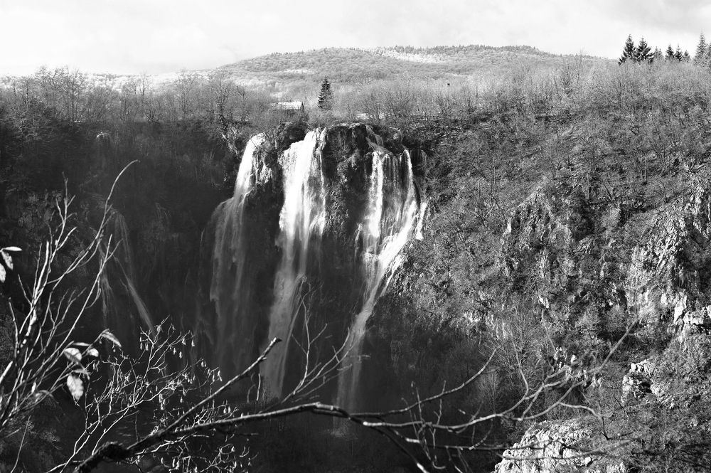 Photograph by Светлана Стрельцова