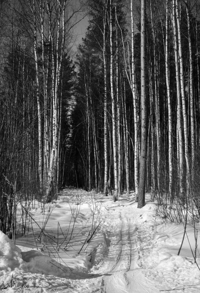 Photograph by Pavel Gukov