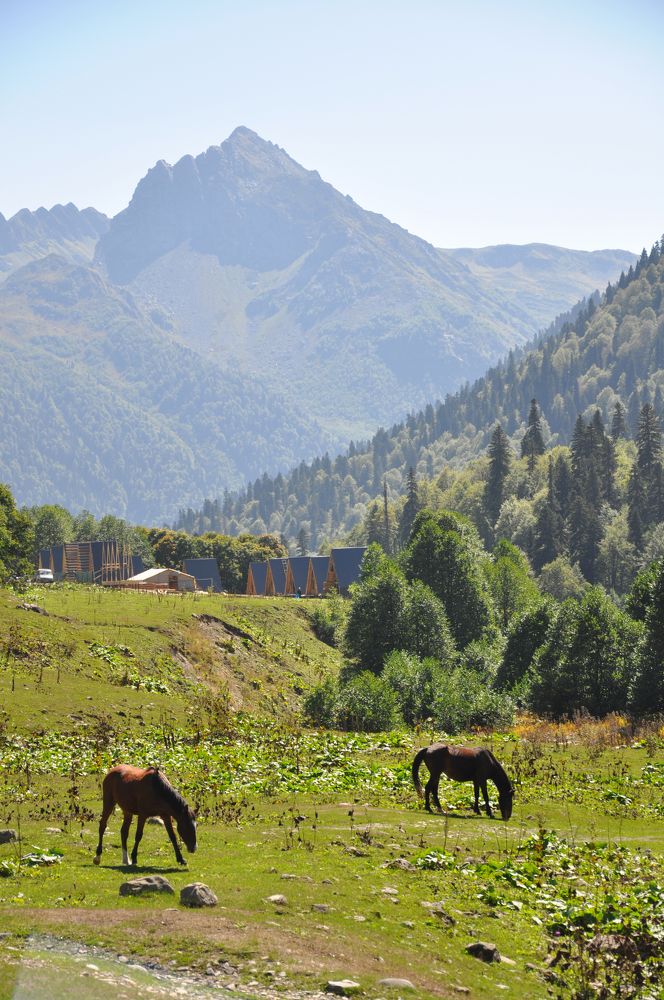 Photograph by Екатерина Молчанова