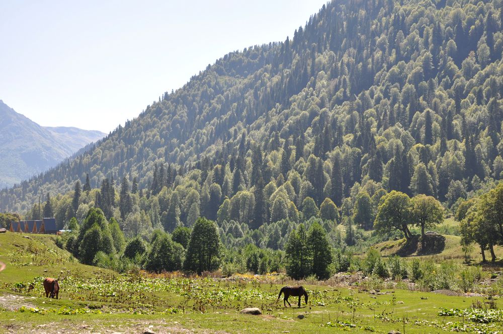 Photograph by Екатерина Молчанова