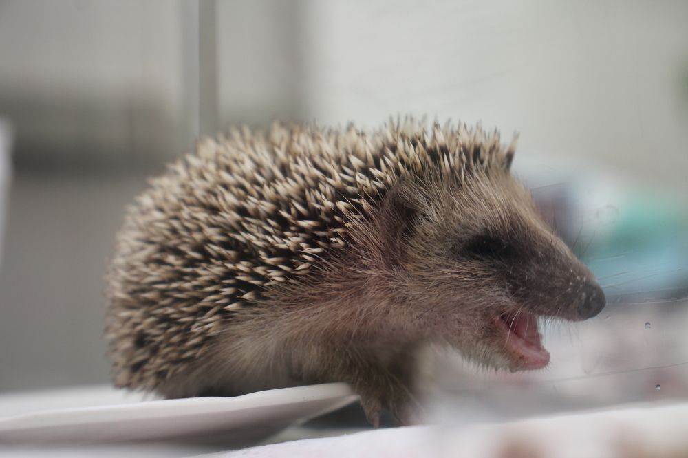 Photograph by Nadzeya