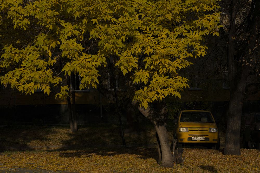 Photograph by Юлия Прончакова-Мойкина