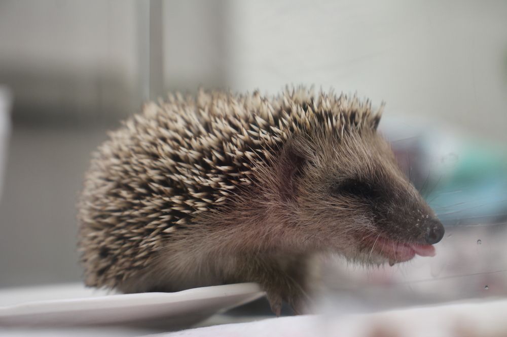 Photograph by Nadzeya