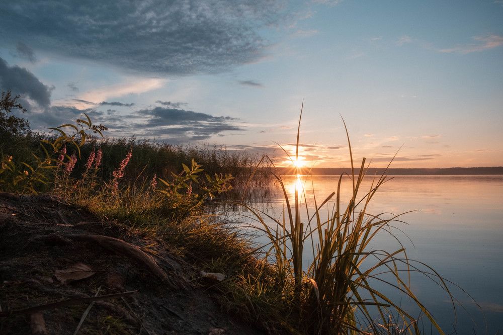 Photograph by Наталья Деменкова