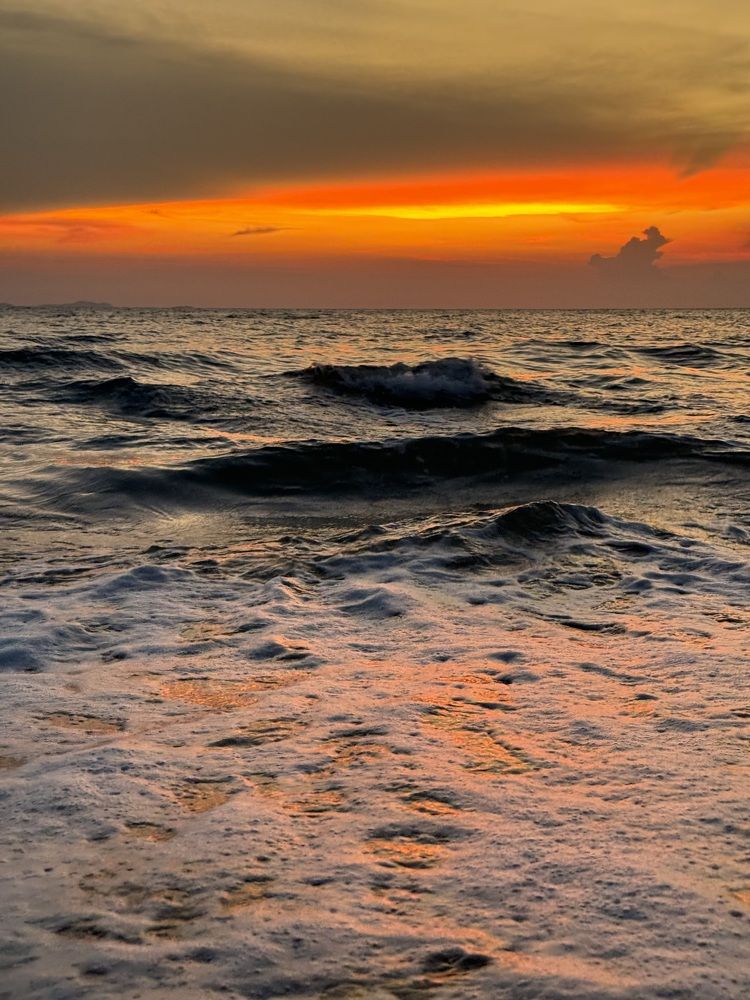 Photograph by Alina Polomoshnova