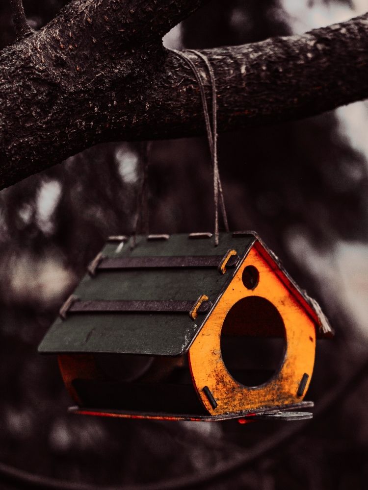 Фотография автора Елена Чиликина