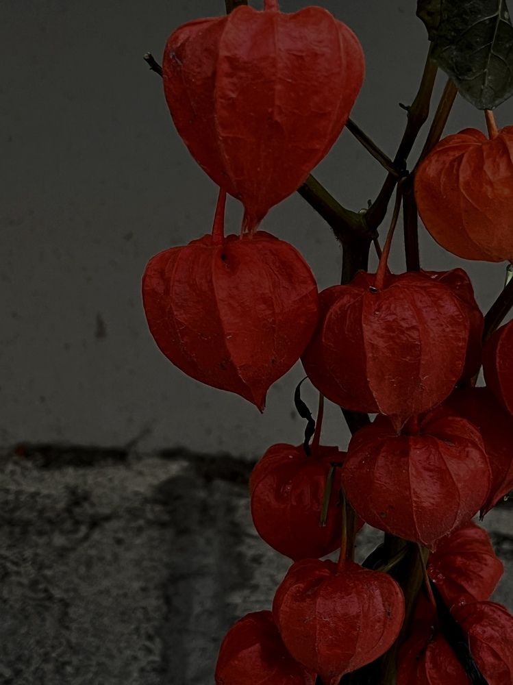 Photograph by Юлия