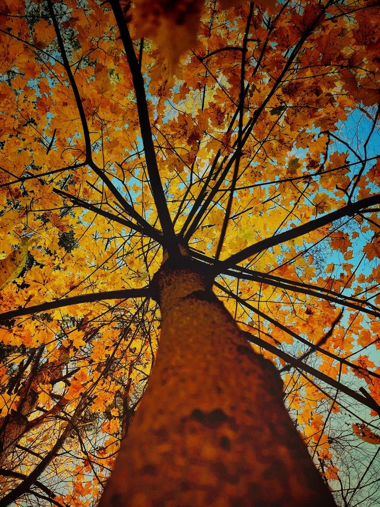 Photograph by Юлия