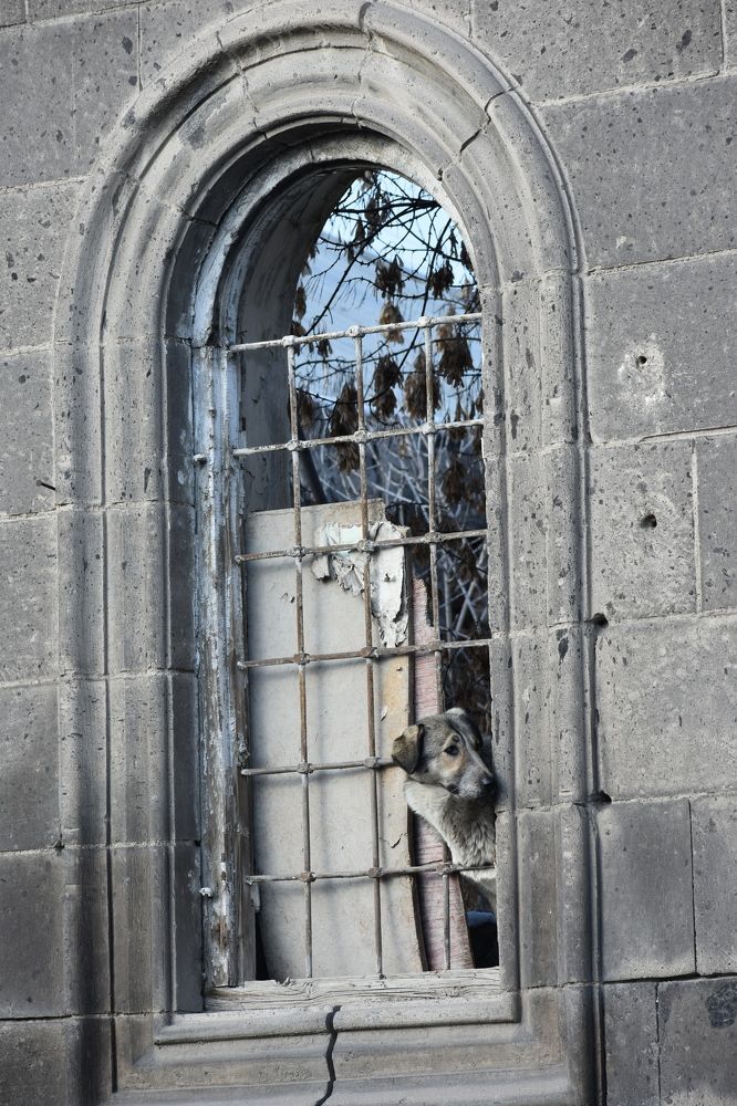 Photograph by Эдуард Оганесян