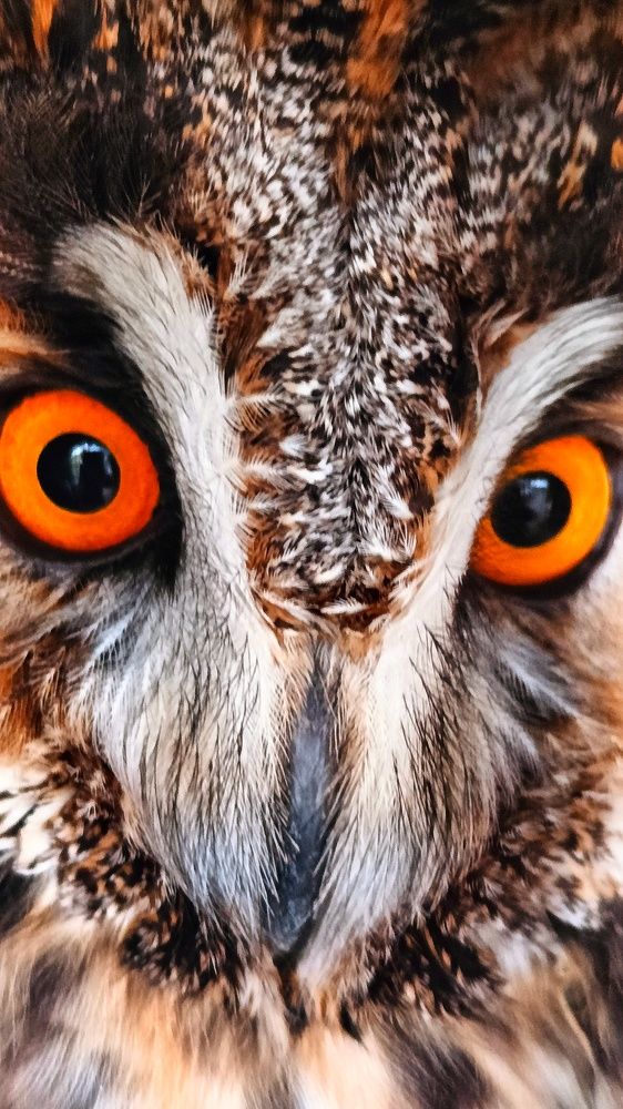 Photograph by Leanid Kulpo