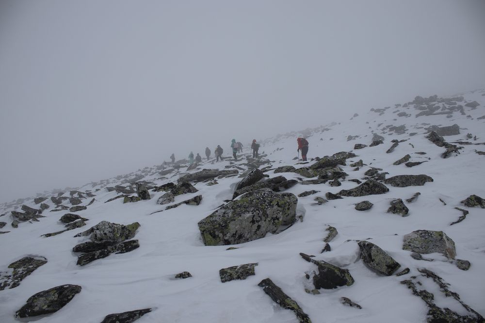 Фотография автора Веста Ягужинская