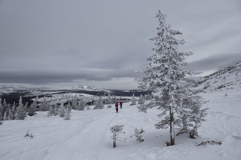 Фотография автора Веста Ягужинская