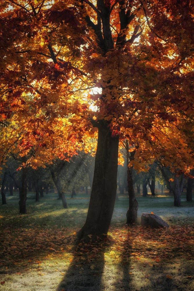 Photograph by Leanid Kulpo