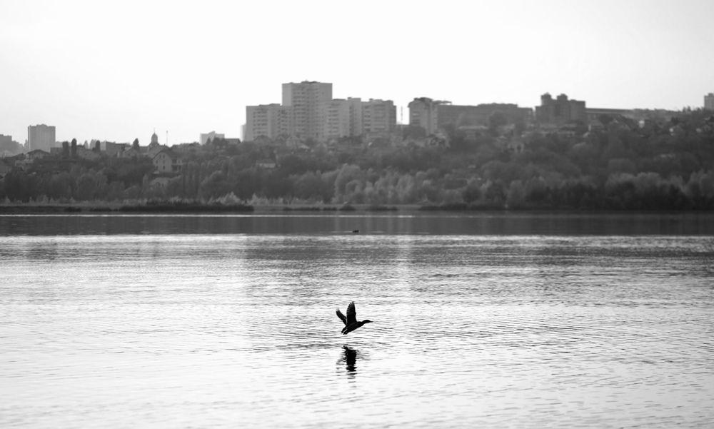 Фотография автора Елена Чиликина