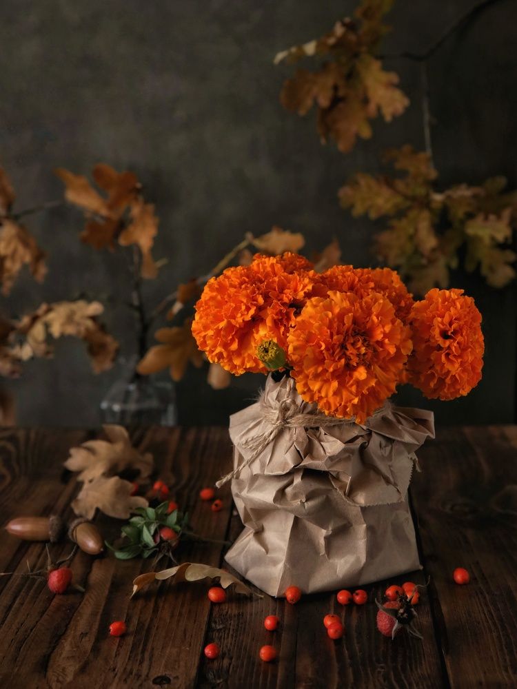 Photograph by Angelica Medvedeva