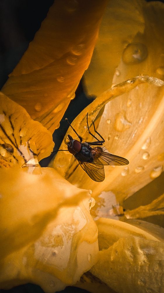 Photograph by Анечка Машенькина