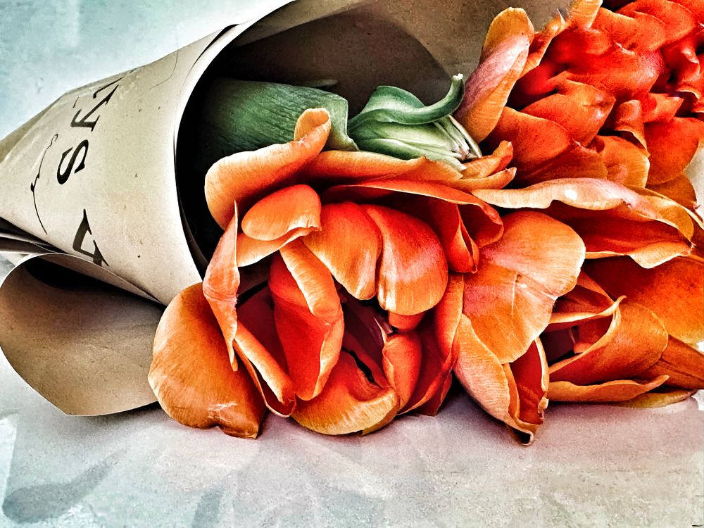 Фотография автора Жанна Колесникова