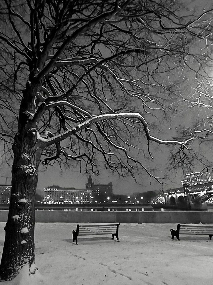 Фотография автора Natalya Firsova