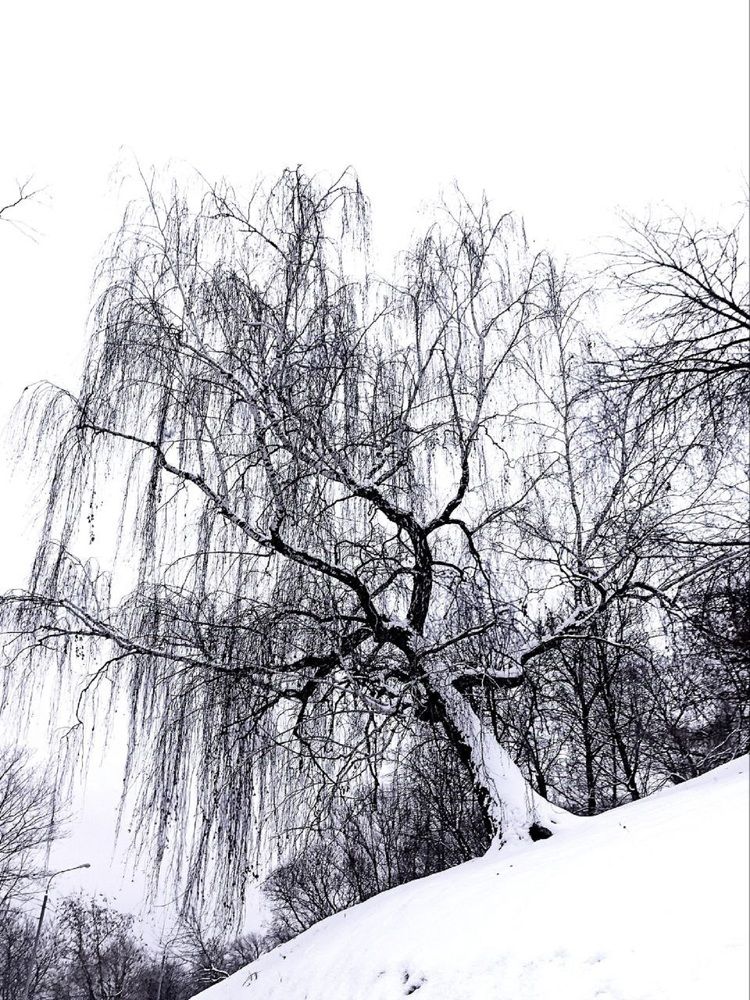 Фотография автора Natalya Firsova