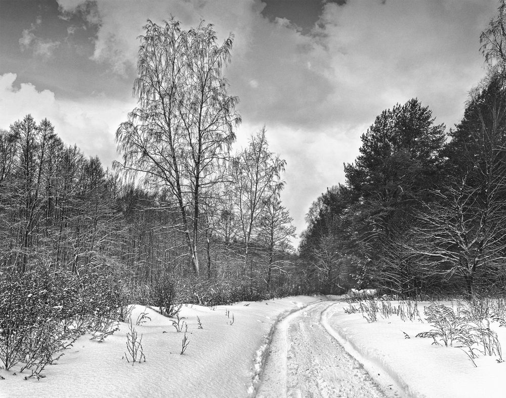 Photograph by Анатолий Максимов