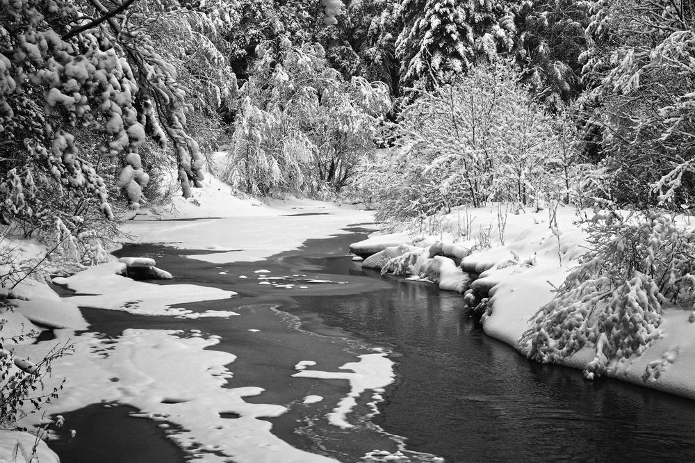 Photograph by Анатолий Максимов