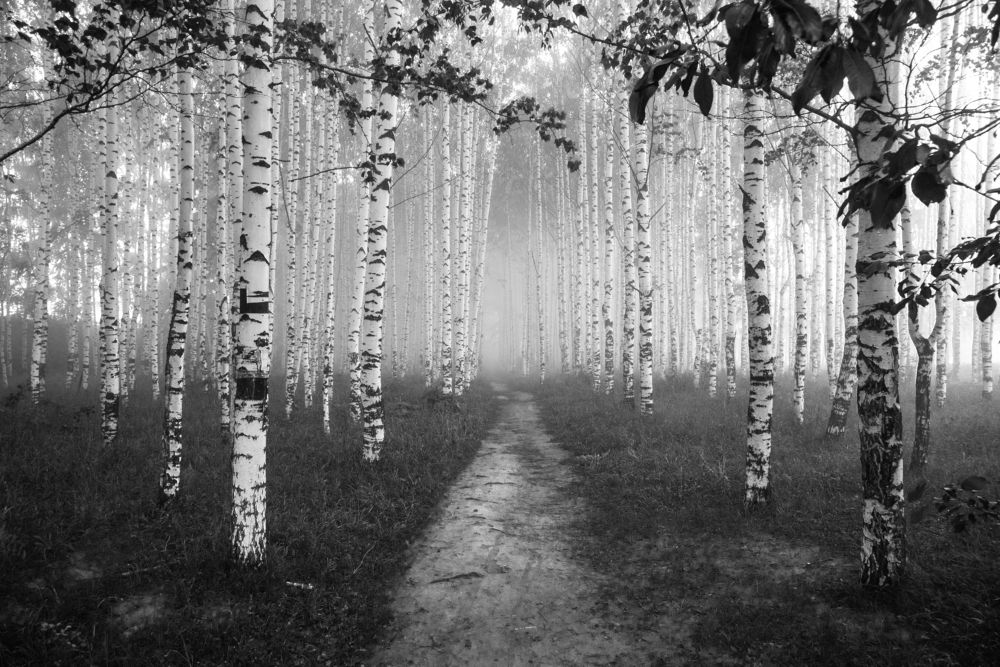 Photograph by Евгений Карепанов