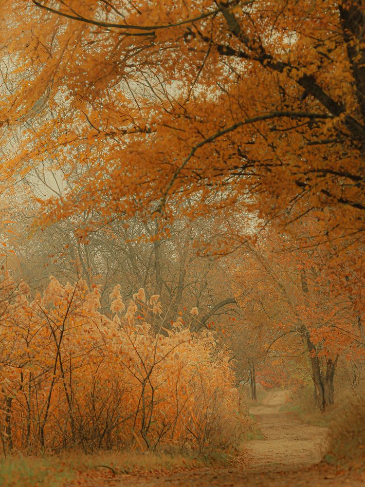 Photograph by Анна Тен