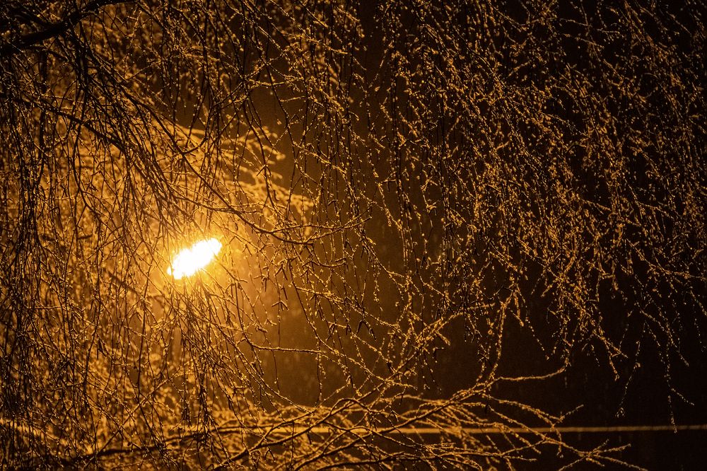 Photograph by Светлана Карнаух