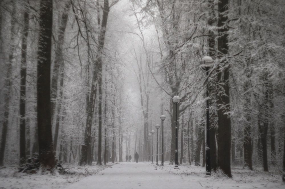 Photograph by Инна Карасева