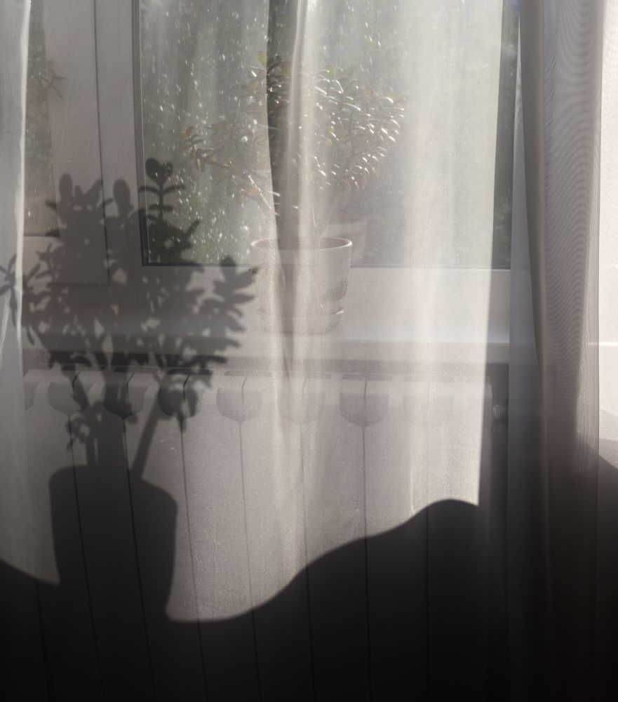 Photograph by Сергей Старостин