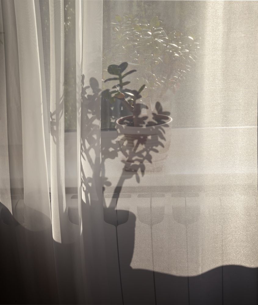 Photograph by Сергей Старостин