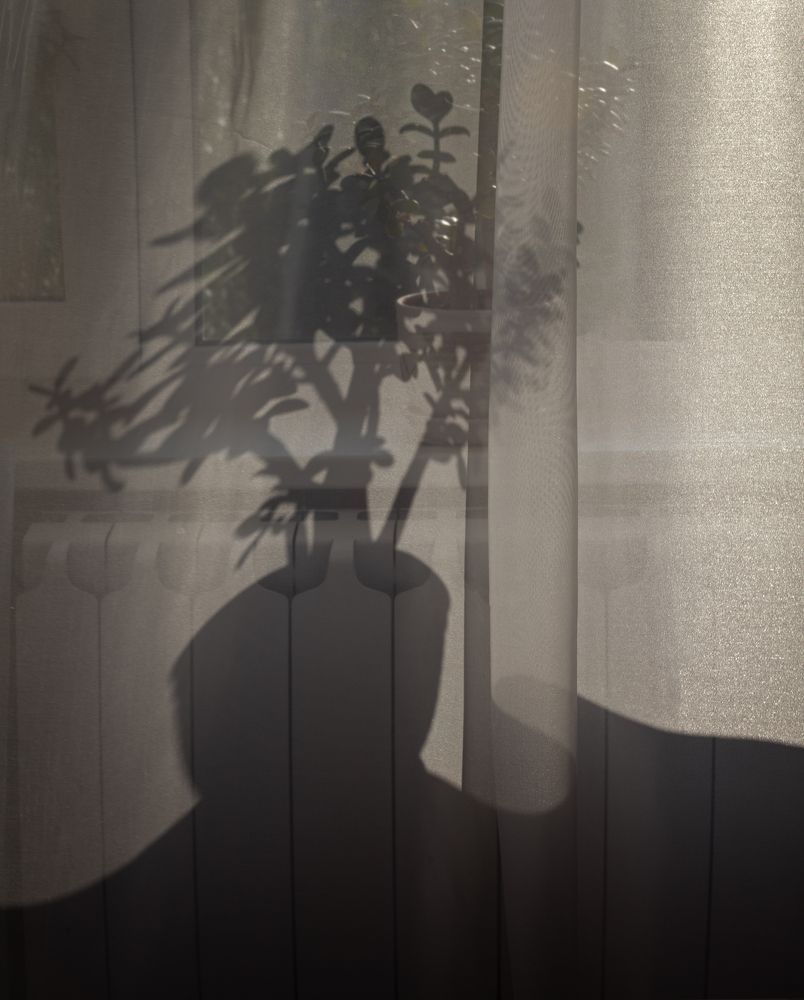 Photograph by Сергей Старостин