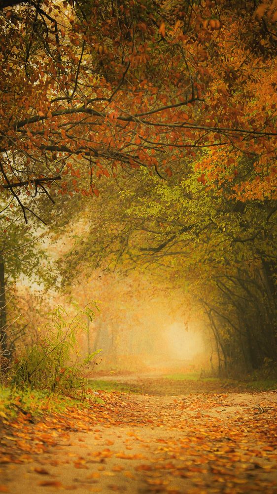 Photograph by Анна Тен