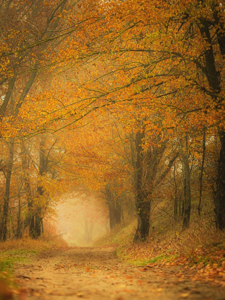 Photograph by Анна Тен