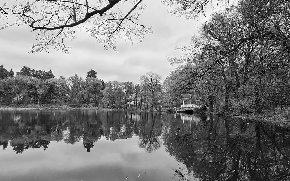 Photograph by Оксана Новикова