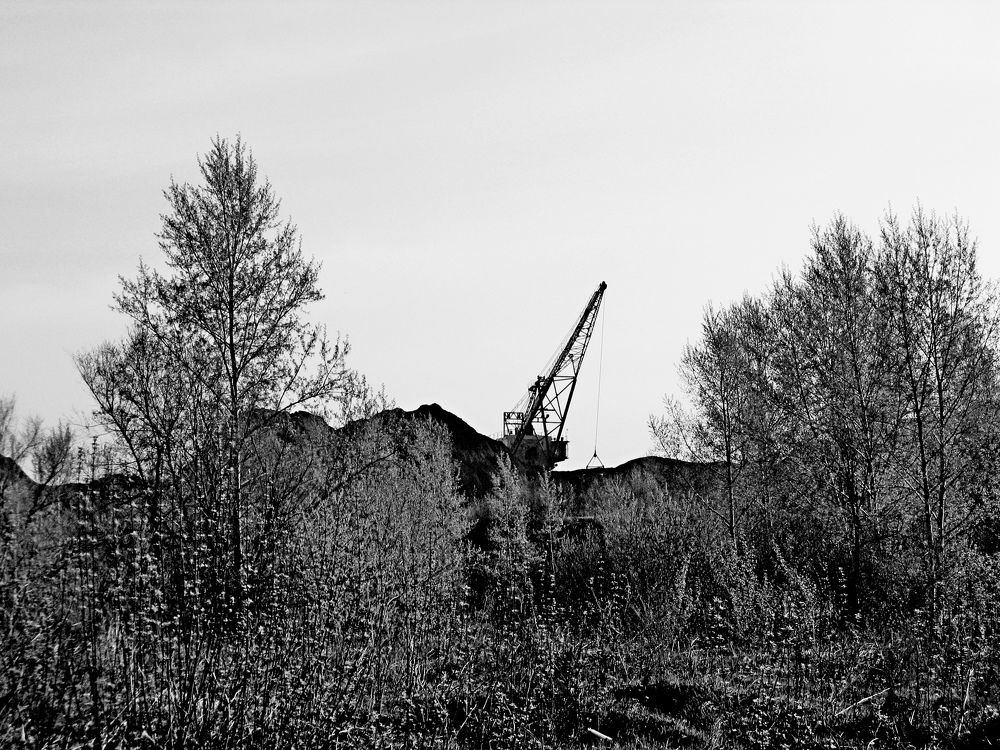 Photograph by Дмитрий Симагин