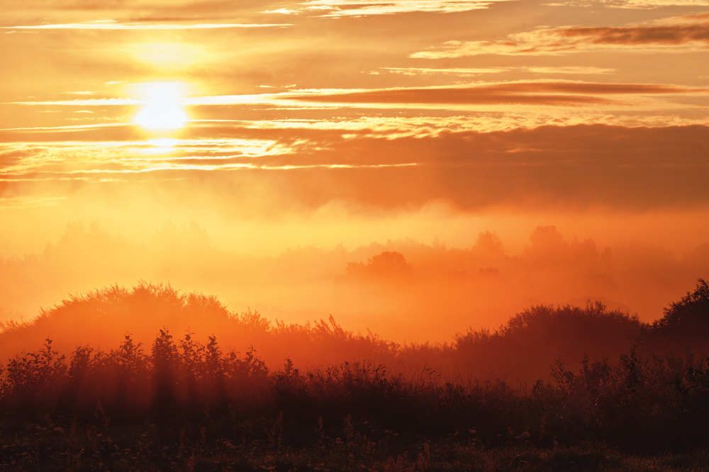 Photograph by Северная Алиса