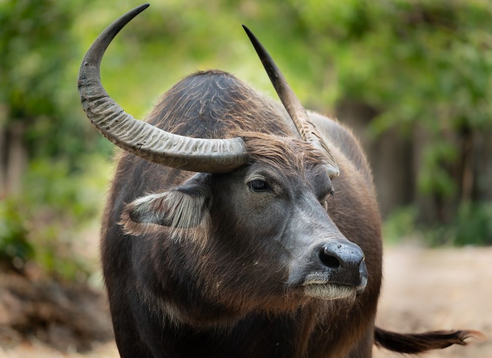 Photograph by Николай Фонарёв