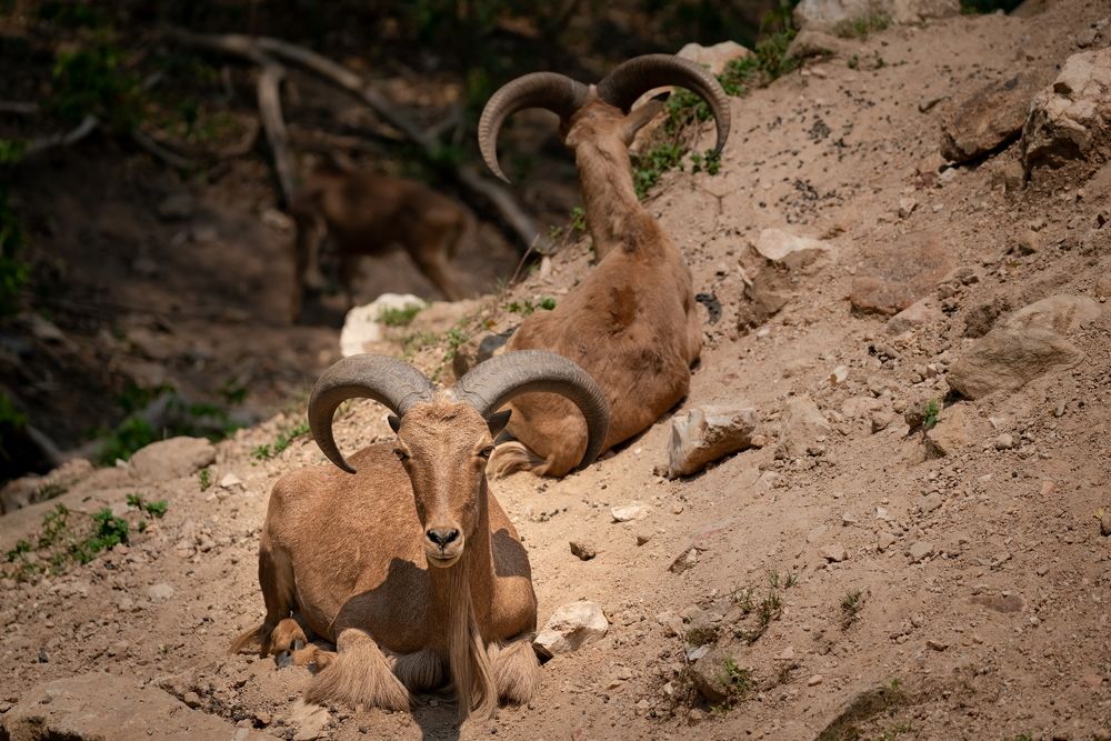 Photograph by Николай Фонарёв