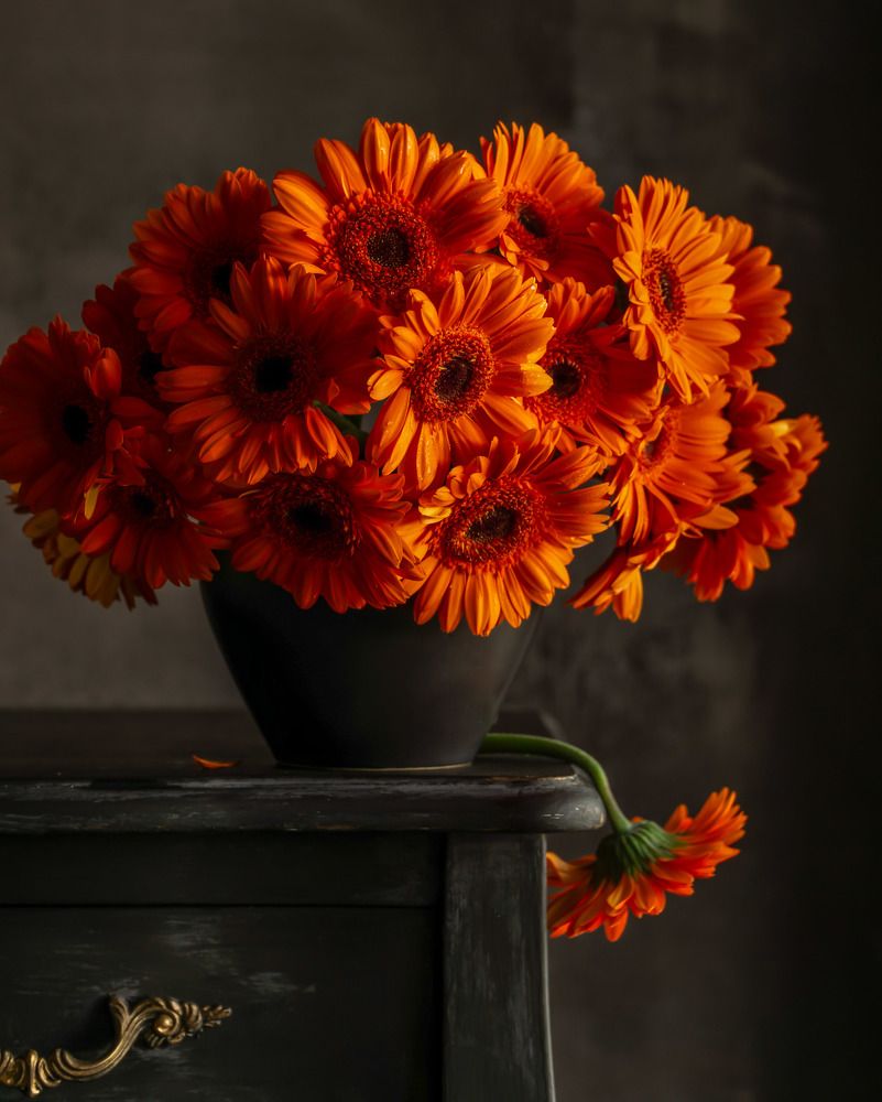 Photograph by Milla Walmus